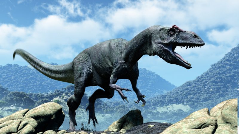 アロサウルスとは？恐竜の特徴を英語で説明しよう！