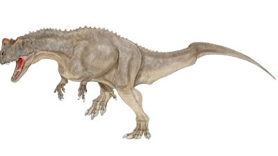 ケラトサウルスとは？角を持つ肉食恐竜の生態・大きさと英語表現を紹介