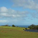 世界遺産　タスマニア原生地域～オーストラリア