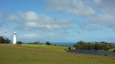 世界遺産オーストラリアの「タスマニア原生地域」世界でも珍しい原生自然が広がる