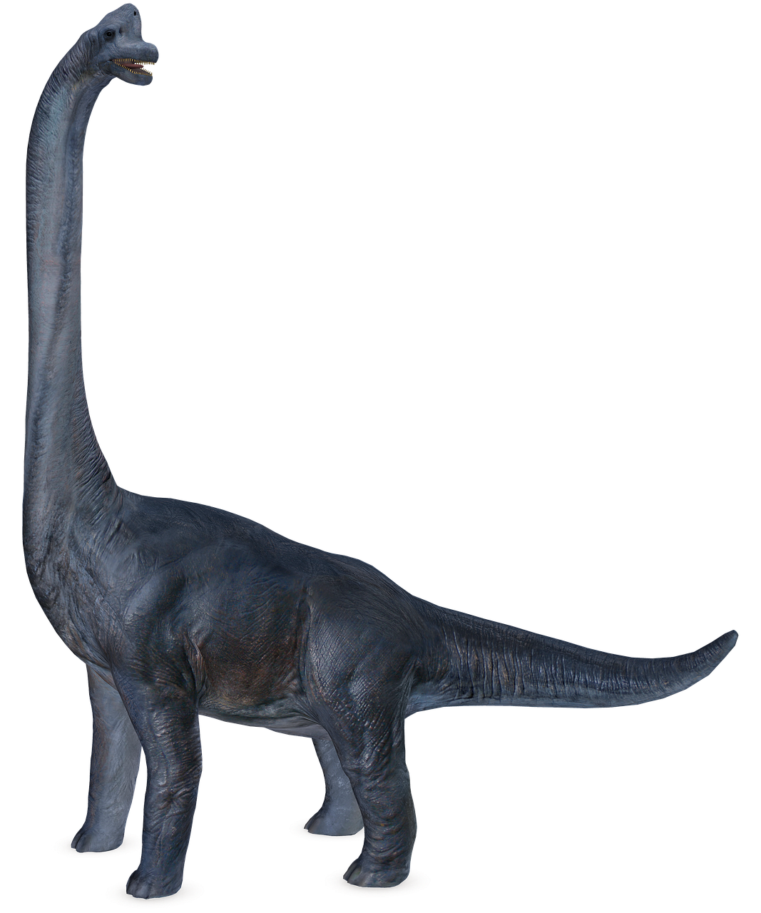 ブラキオザウルス（恐竜）