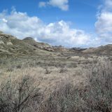 ダイナソール州立公園