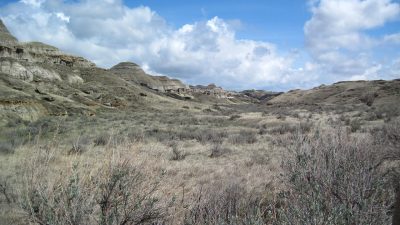 カナダの世界遺産「州立恐竜公園（ダイナソール州立公園）」とは？砂漠のオアシスを英語で紹介