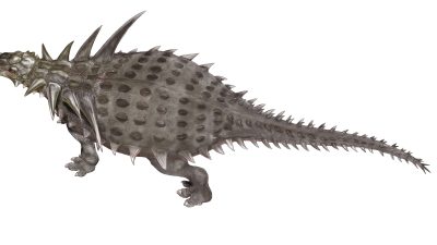 サウロペルタとは？鎧をまとう恐竜の生態・大きさと英語表現を紹介！