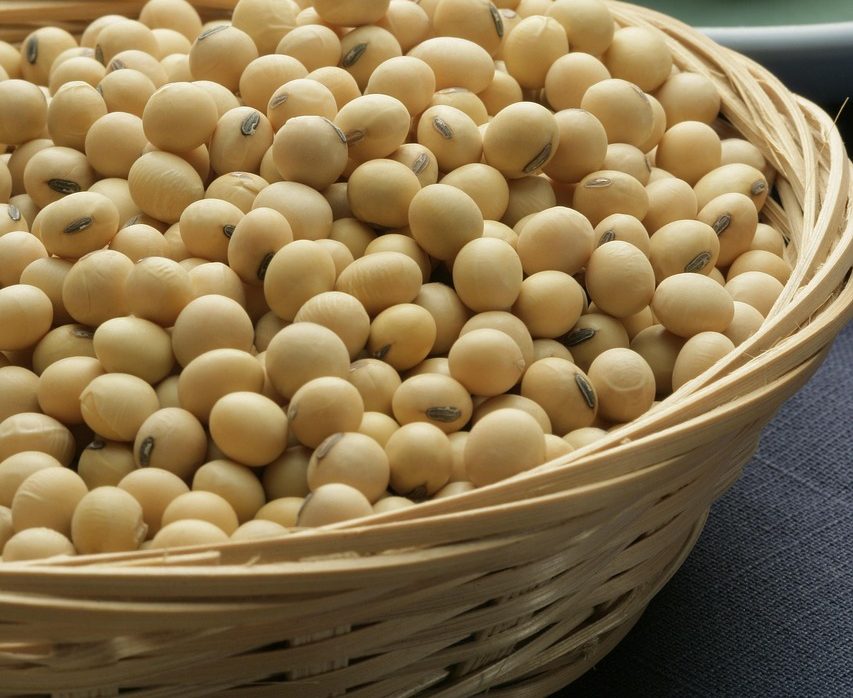 豆腐屋での実践的な英会話ロールプレイング