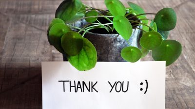 「何から何までありがとう」は何て言う？英語で感謝の気持ちを伝えよう