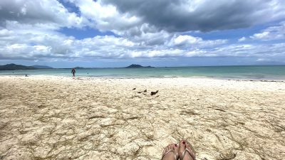 ビーチで知っておくと便利な英単語と英会話例文を紹介！身を守るためにも暗記をすると便利です