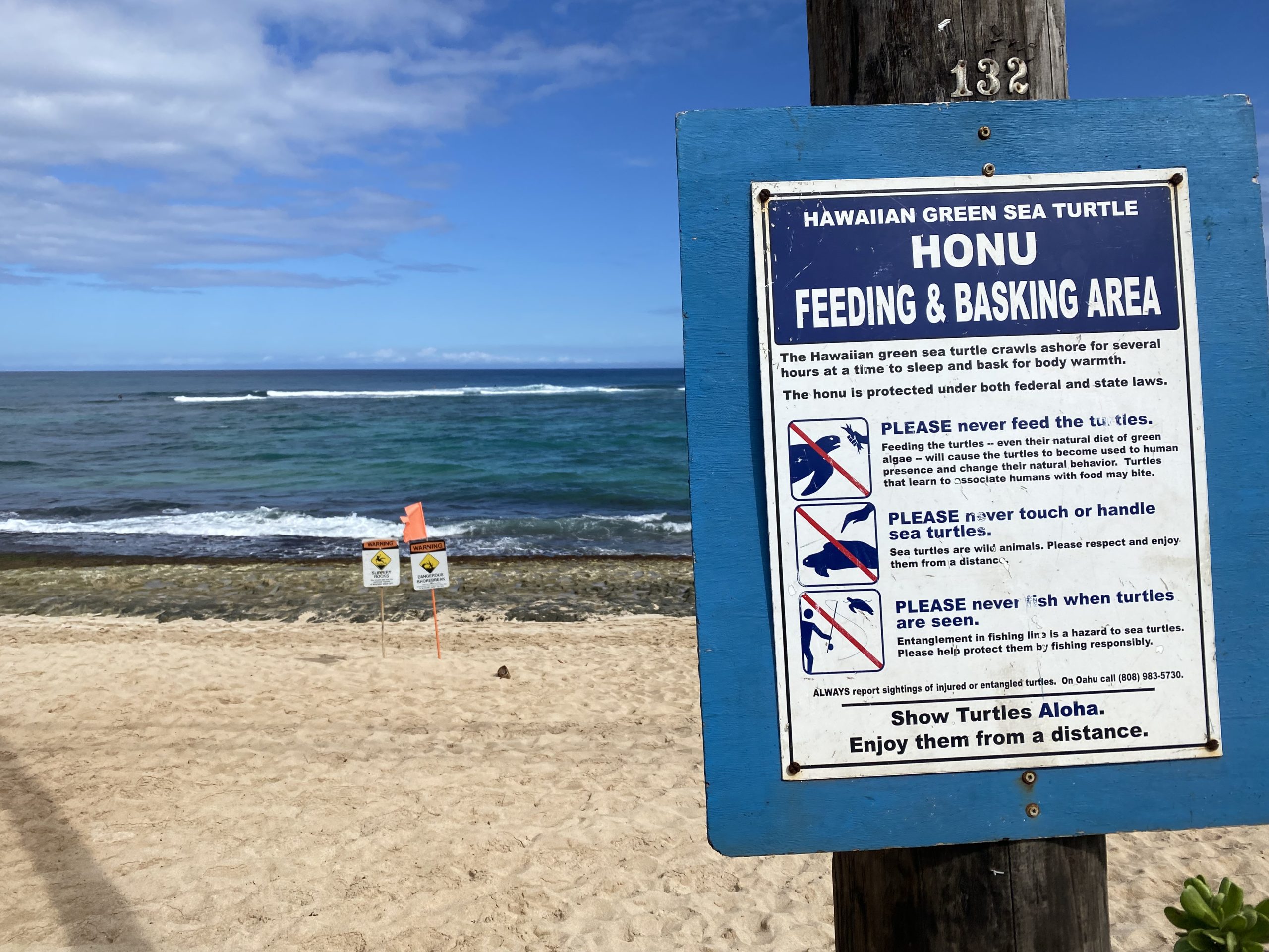 ビーチでよくある英語の注意書き