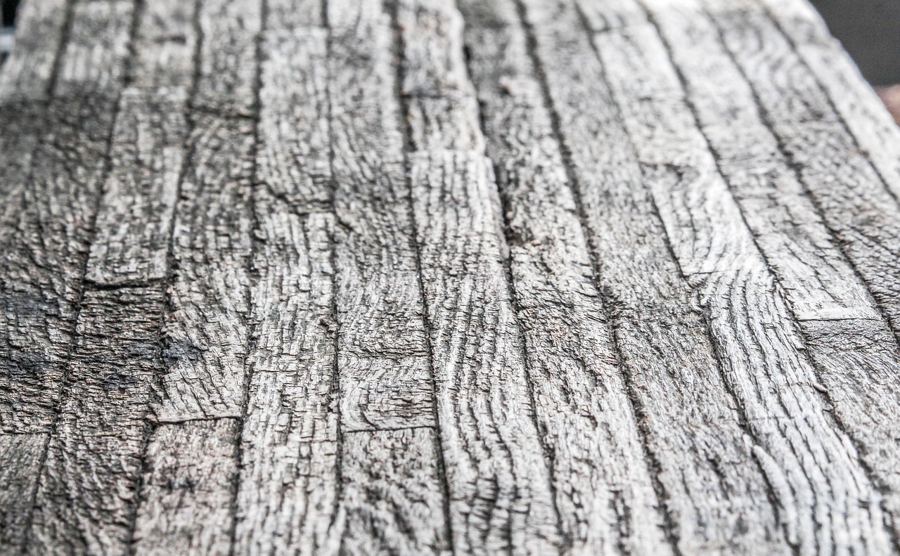 「ザラザラ」の英語Rough textureの例文