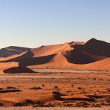 ナミブ砂海「霧が育む世界で唯一の沿岸砂漠」をまるっと理解