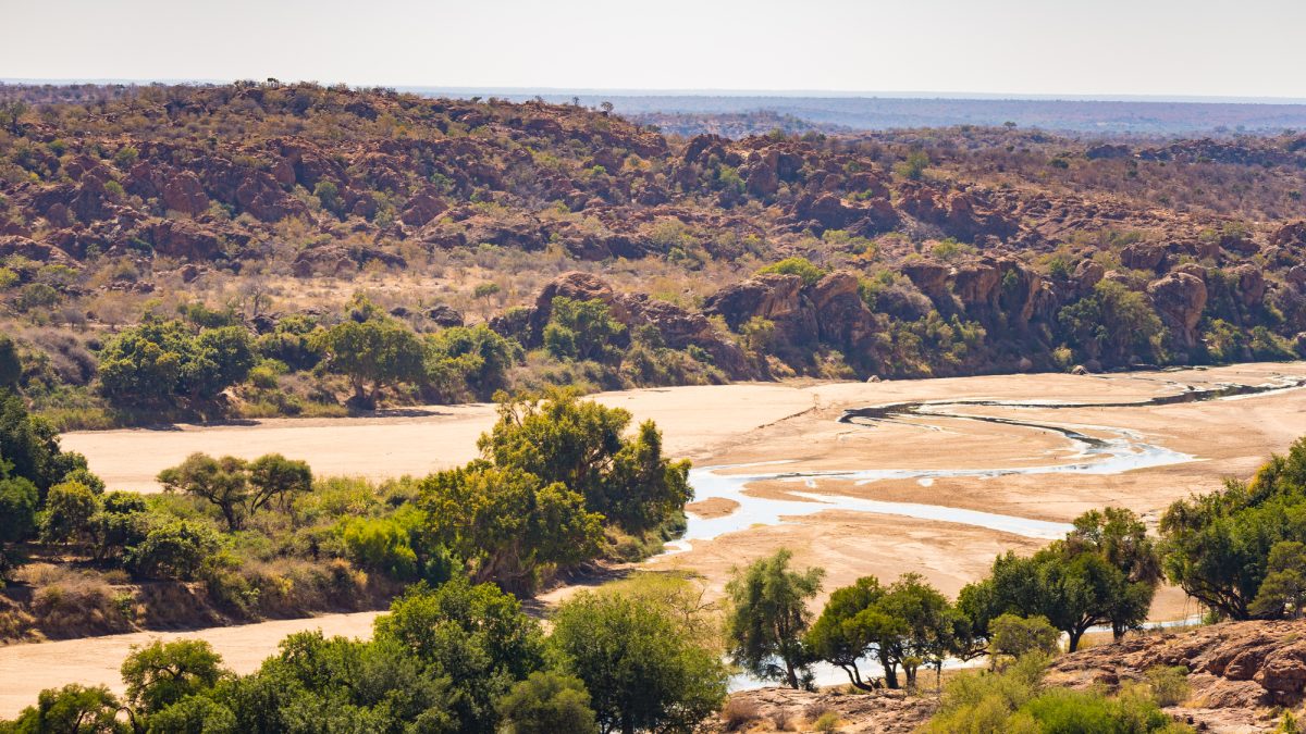 南部アフリカ最古の王国の記憶「マプングブエ」をまるっと理解