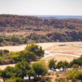 南部アフリカ最古の王国の記憶「マプングブエ」をまるっと理解