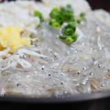 しらすって大きくなると何になる？ちりめんじゃことの違いを英語で説明してみよう