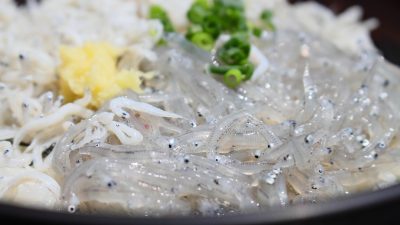 しらすって大きくなると何になる？ちりめんじゃことの違いを英語で説明してみよう