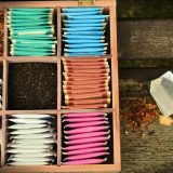 紅茶専門店店員の仕事を英語で説明！紅茶の種類や文化背景をわかりやすく紹介