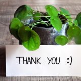 「心配してくれてありがとう」を英語で何て言う？家族や友人、職場で使える表現まとめ