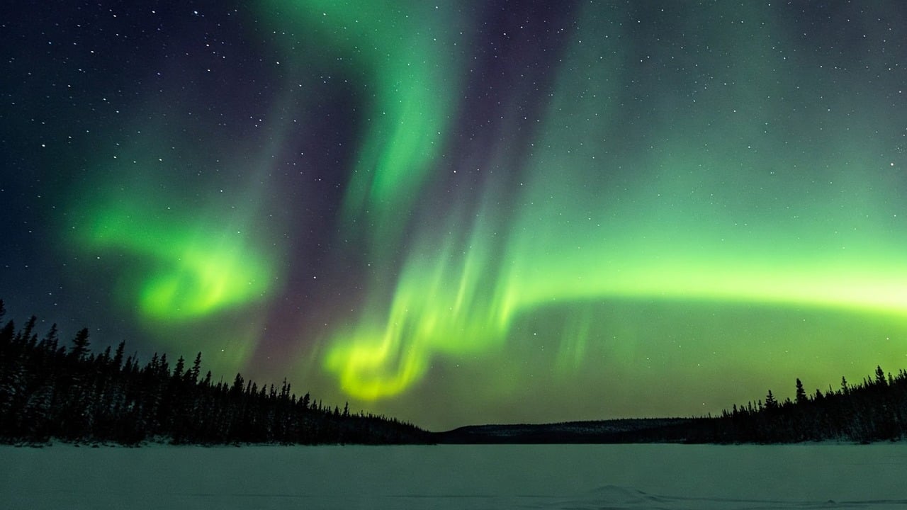 強化リブラの話題を英語で話してみよう！