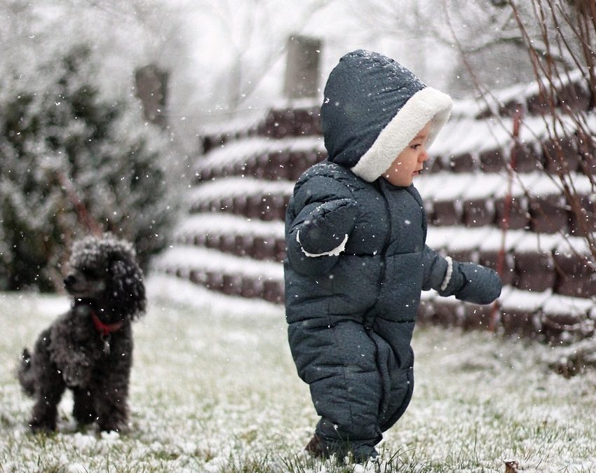 オノマトペ【ヨロヨロ】の英語。2つの表現”Tottering”と”Wobbling”を例文で紹介