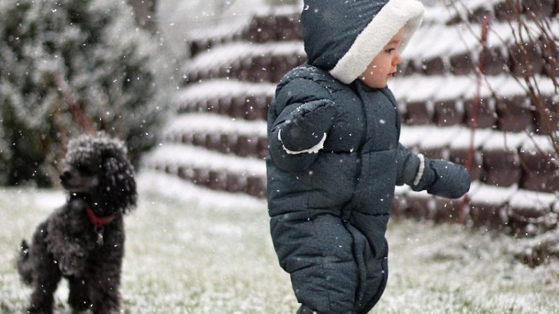 オノマトペ【ヨロヨロ】の英語。2つの表現”Tottering”と”Wobbling”を例文で紹介