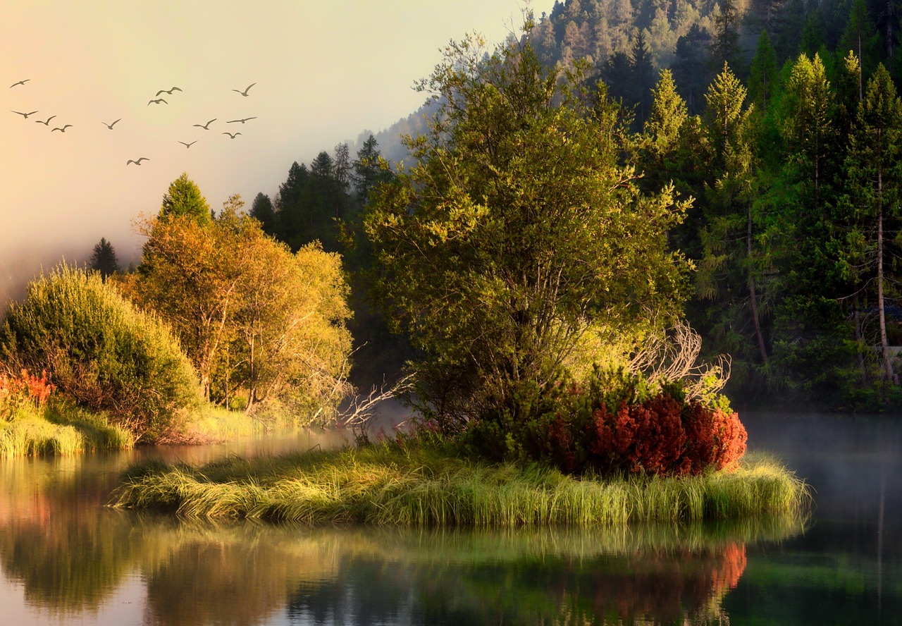 「静か」を表す英語は何？