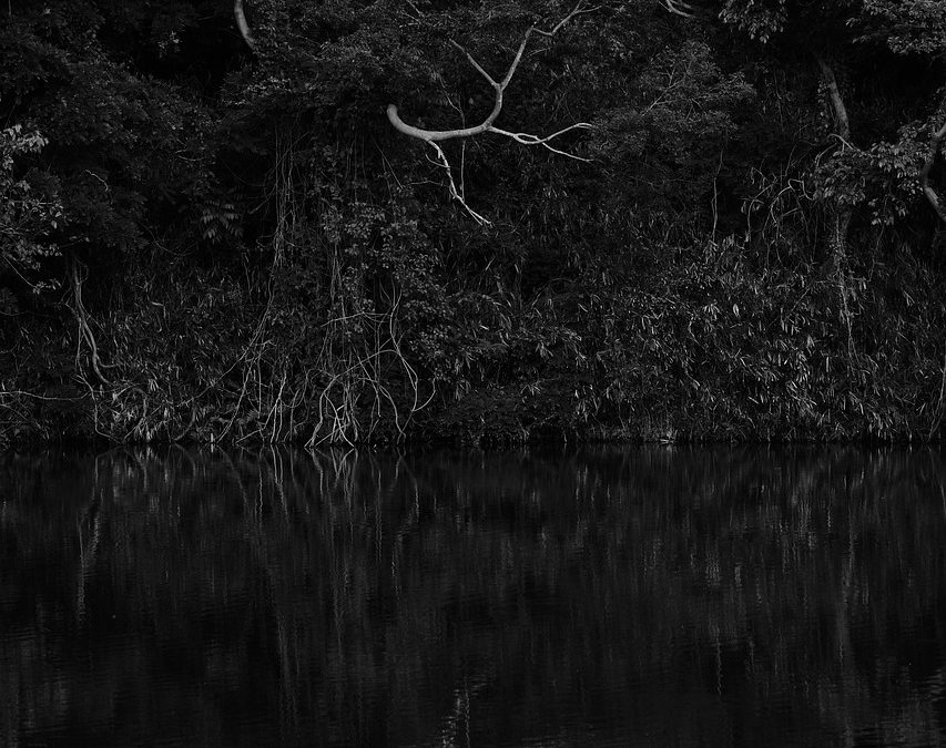 今話題の「強化リブラ」「常夜リブラ」とは？ナイトレインの強化ボスを英語で話そう！