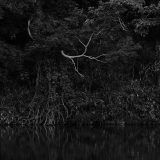 今話題の「強化リブラ」「常夜リブラ」とは？ナイトレインの強化ボスを英語で話そう！