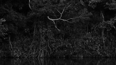 今話題の「強化リブラ」「常夜リブラ」とは？ナイトレインの強化ボスを英語で話そう！