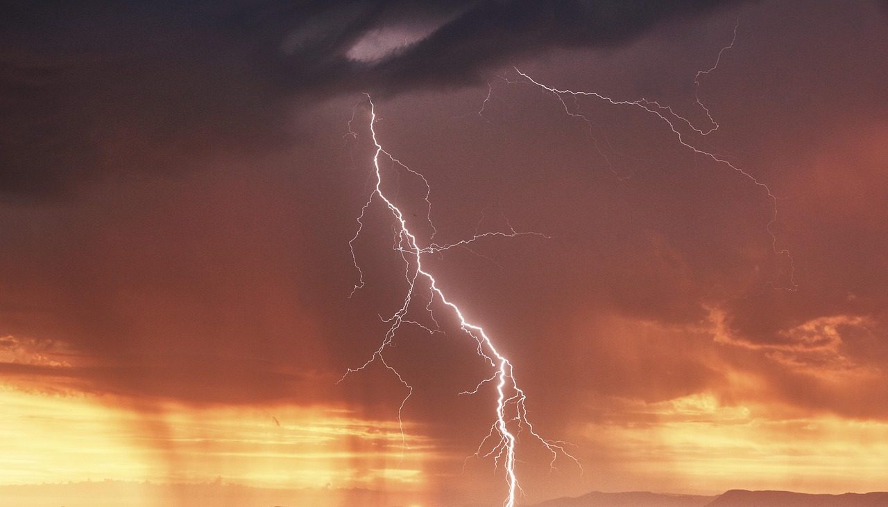 今話題の強化リブラとは？