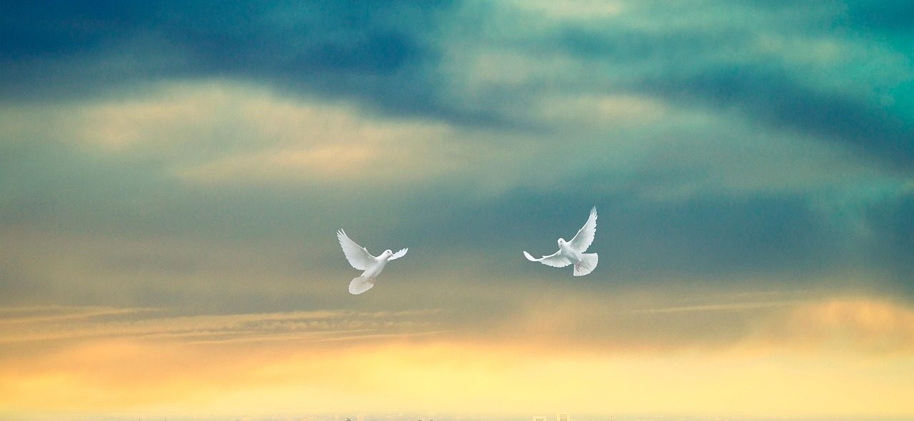 終戦記念日の話題を英語で話してみよう!