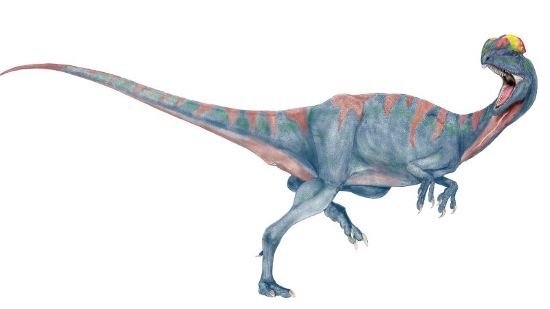 ディロフォサウルスとは？映画で有名な恐竜の真実と英語表現を紹介