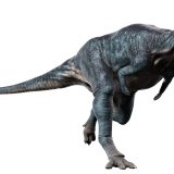 パキケファロサウルスとは？石頭恐竜の特徴・生態と英語表現を紹介