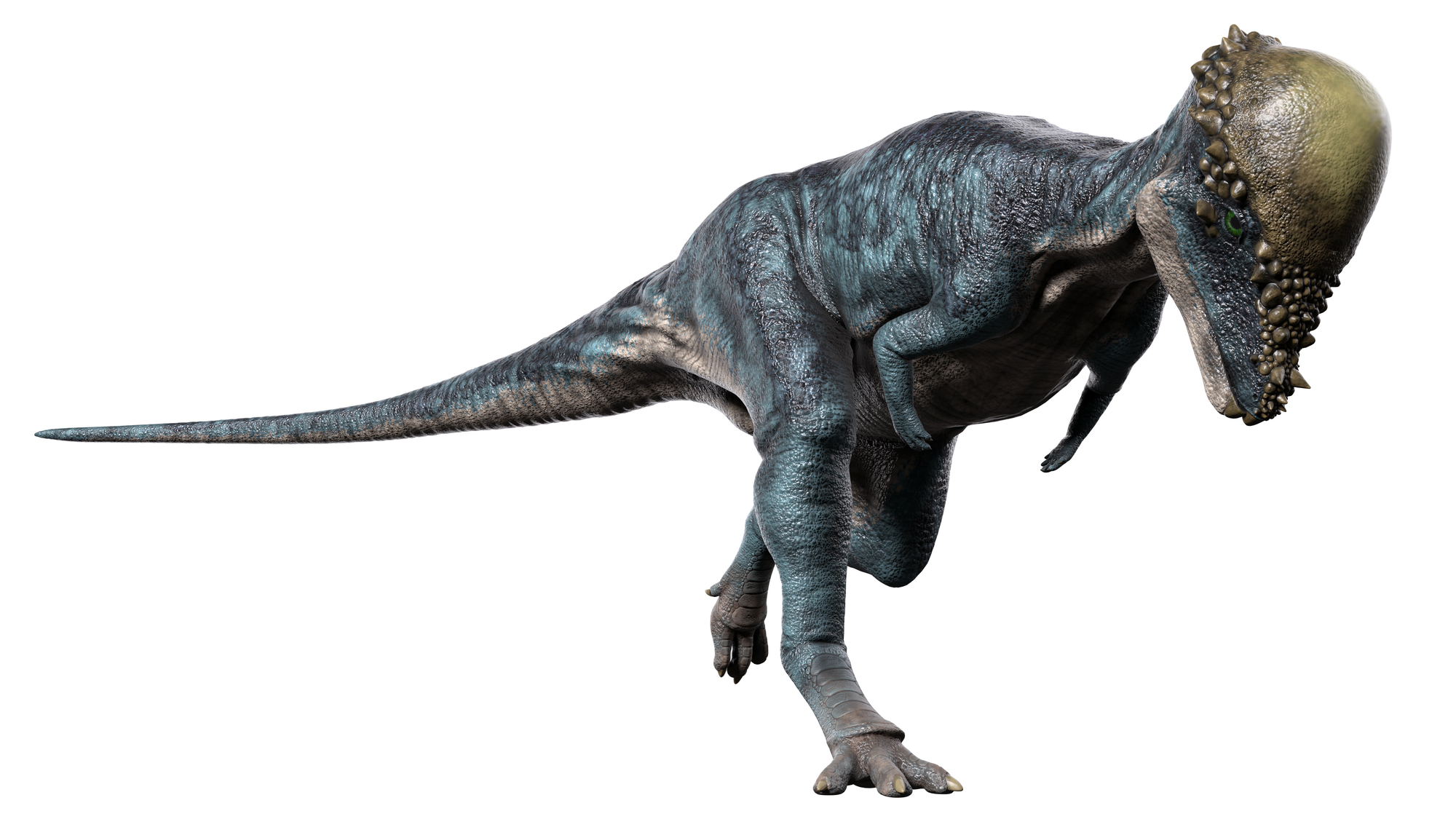 恐竜 色々14体 schleich シュライヒ 恐竜ダイナソー 14体 d