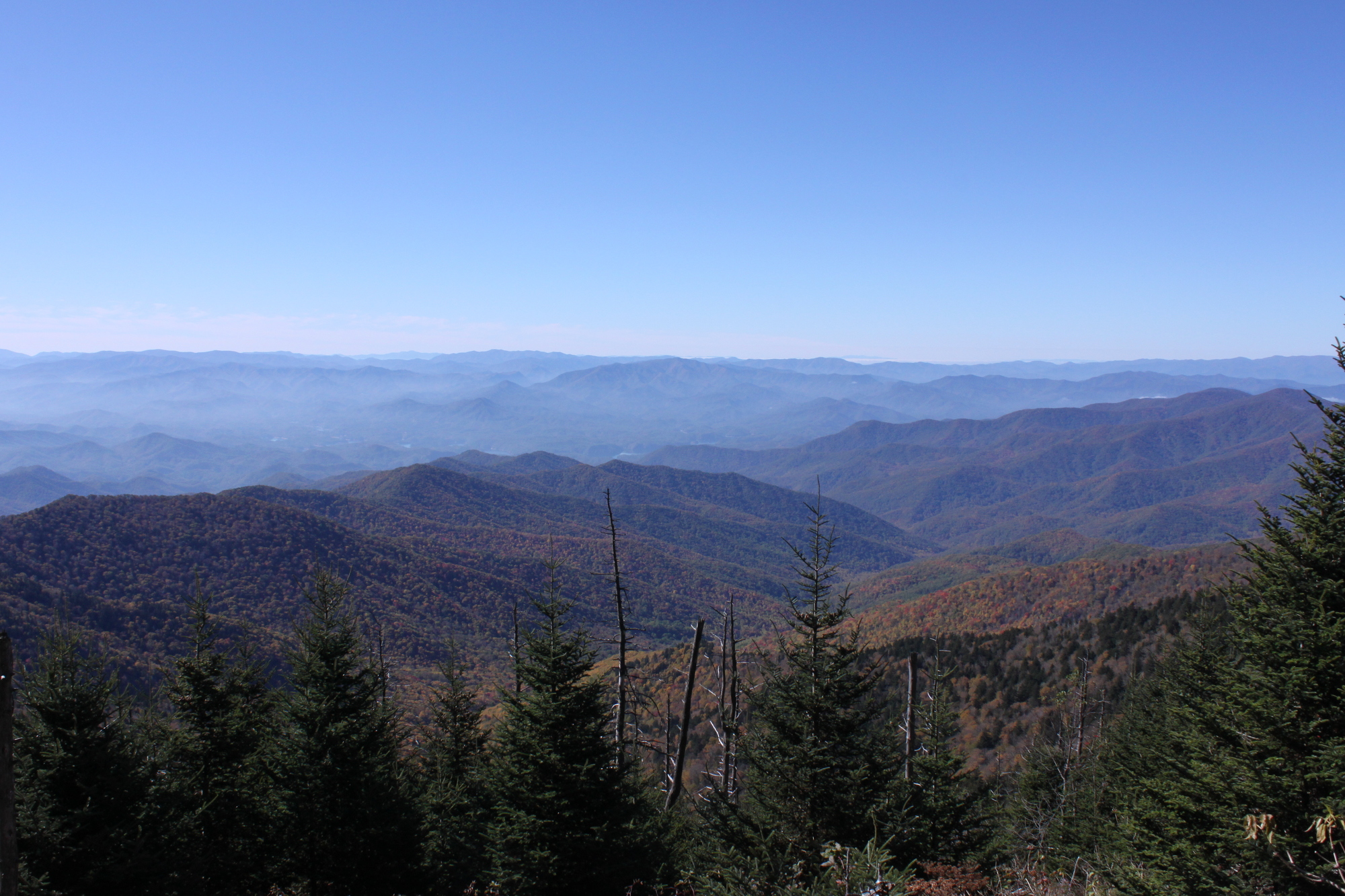 アメリカの世界遺産「グレート・スモーキー山脈国立公園」とは?絶景と生物多様性を体験!