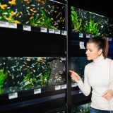 アクアリウム専門店店員｜水槽の説明から魚や水草の案内まで！お役立ち英単語とロールプレイング