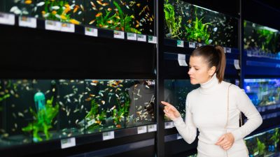 アクアリウム専門店店員｜水槽の説明から魚や水草の案内まで！お役立ち英単語とロールプレイング