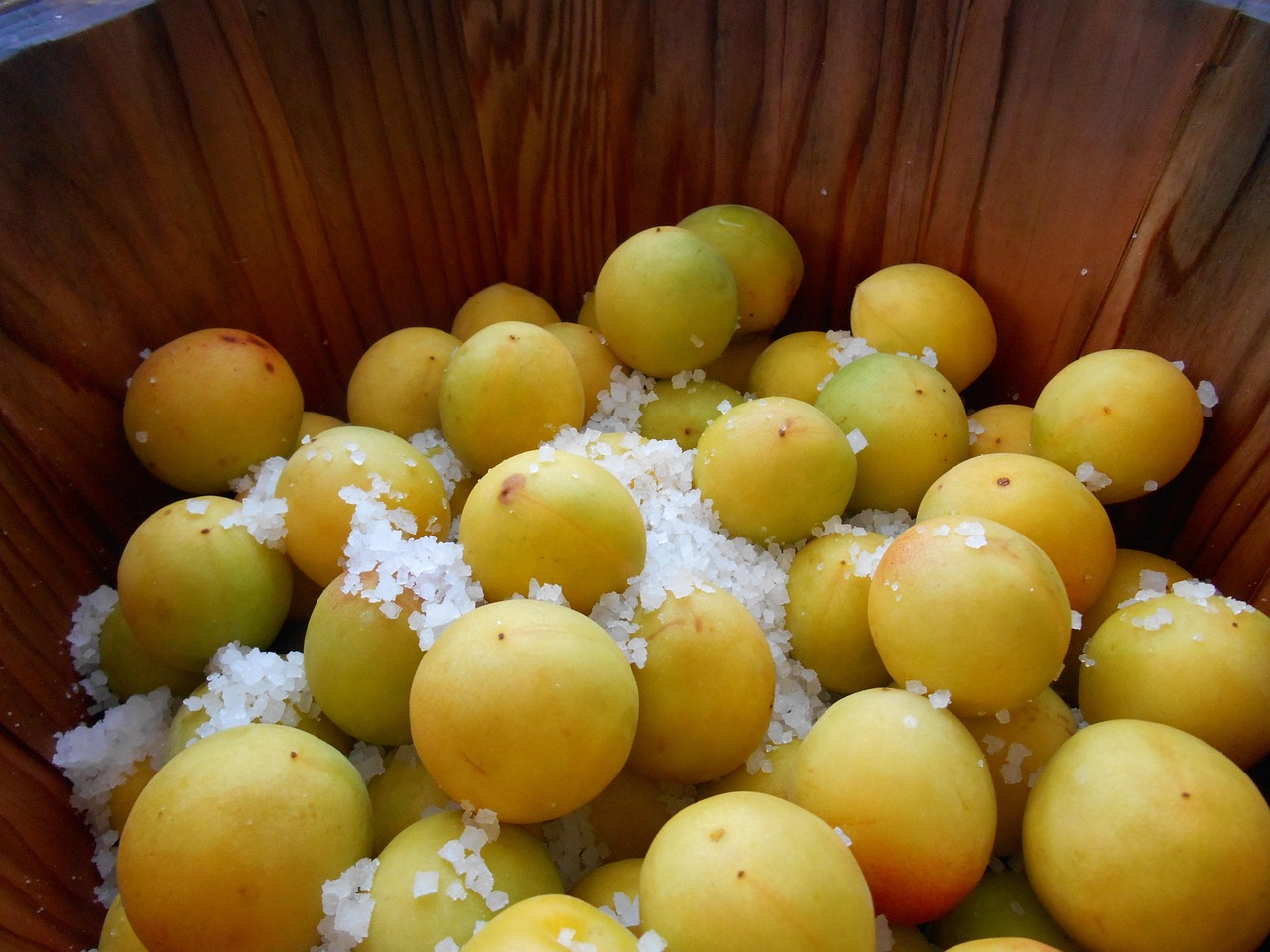 梅干しってどうやって作るの？