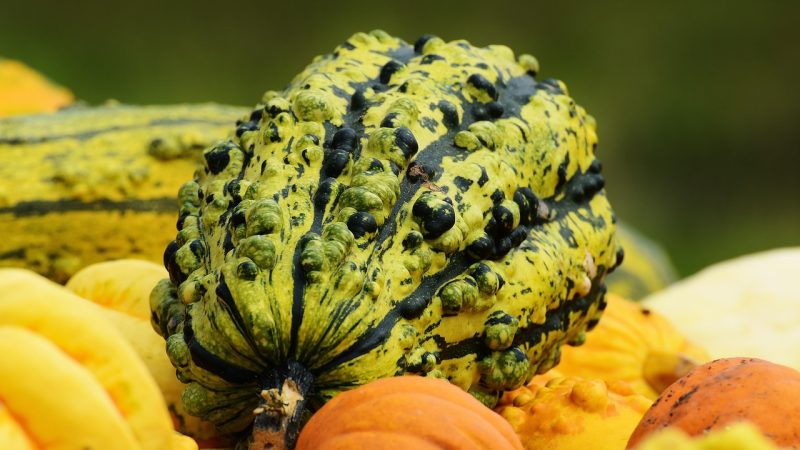 オノマトペ【ゴツゴツ】の英語。2つの表現Rough/Bumpyを例文で紹介