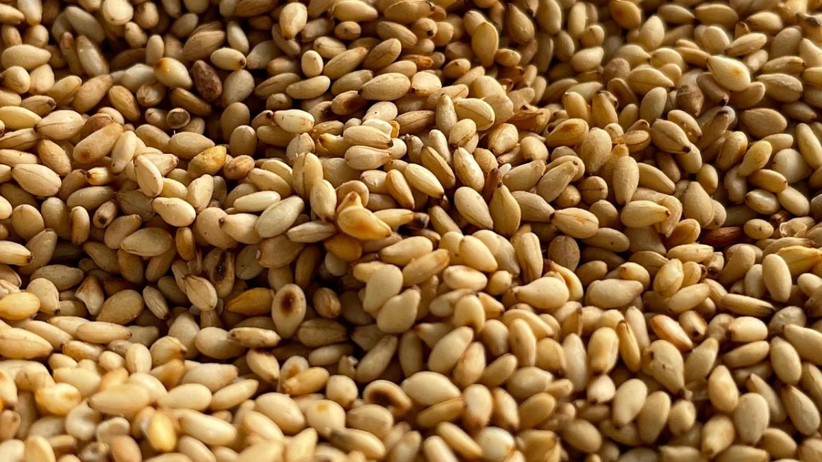 ごまをする、って英語でなんていう？黒ゴマやすりごまなど、ごまにまつわる単語や表現を学ぼう