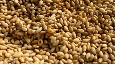 ごまをする、って英語でなんていう？黒ゴマやすりごまなど、ごまにまつわる単語や表現を学ぼう