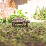 オノマトペ【ノロノロ】の英語とは？遅いことを表現するSlow-movingを紹介