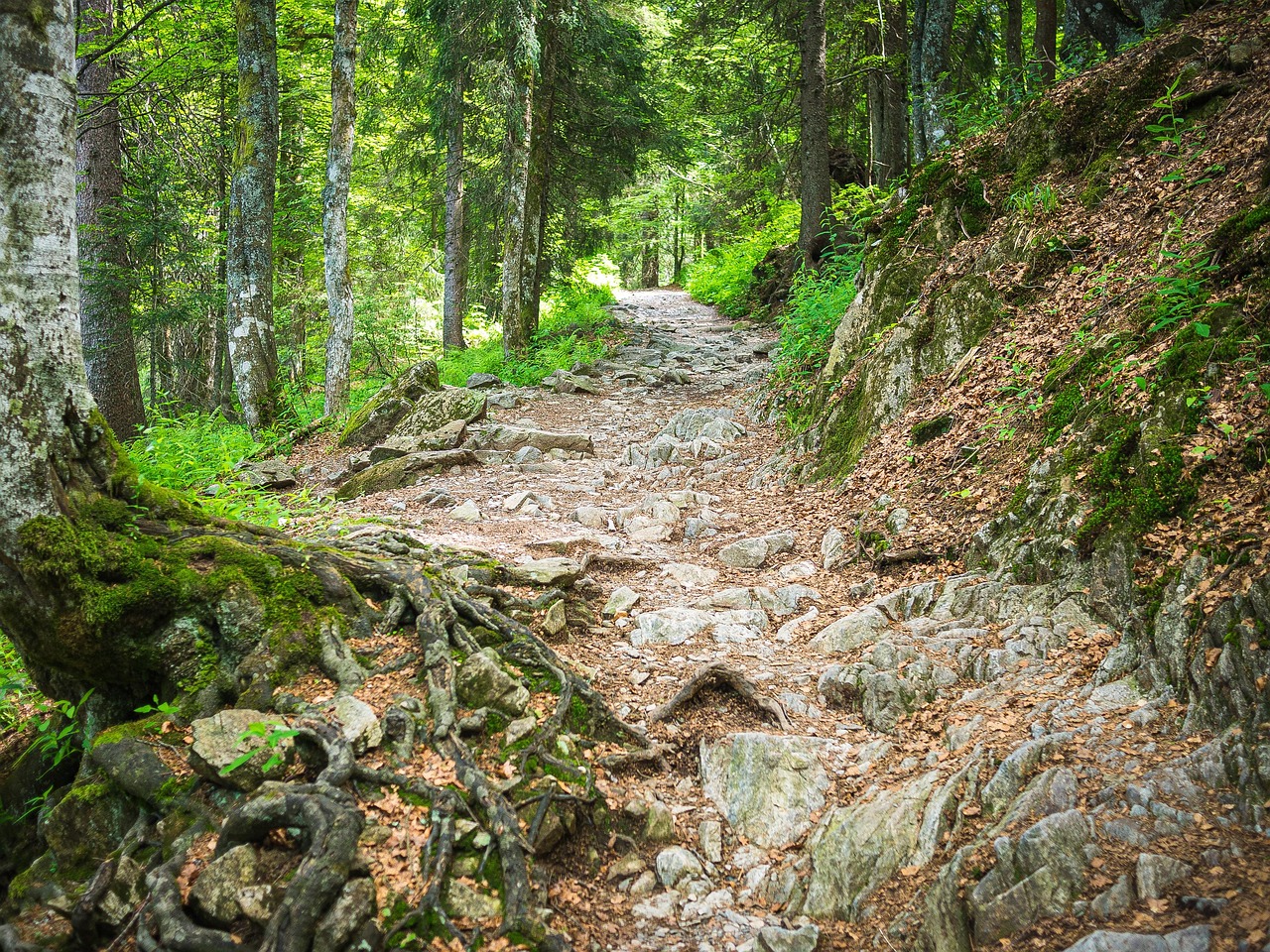 「ゴツゴツ」の英語Roughの例文