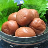 「梅干し食べたことある？」って英語でなんていう？作り方を英語で説明してみよう。