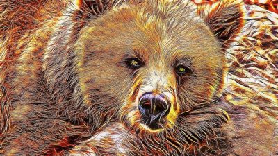 南アメリカの絶滅動物【アルクトテリウム】を英語で紹介！巨大クマの特徴とは？