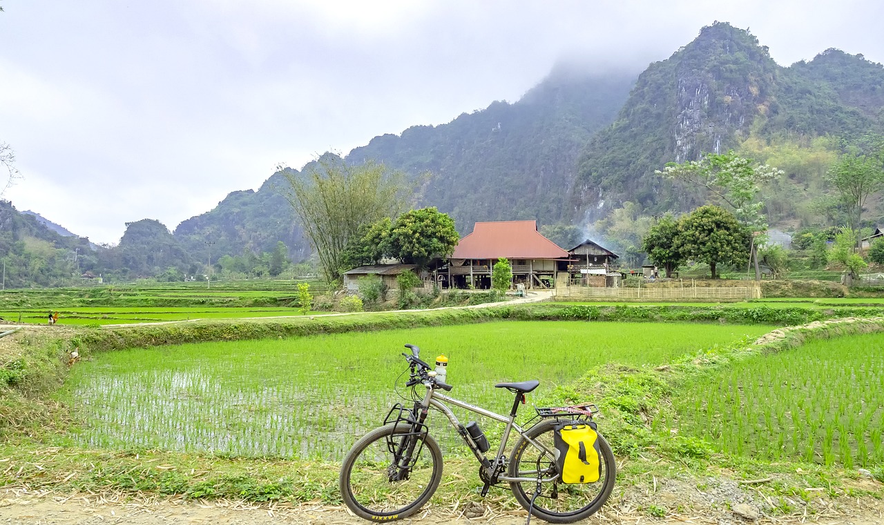 地域に根ざした育ちと英語力は両立できる