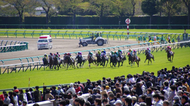 「スプリンターズS」とは？日本の競馬レースについて英語で話そう！