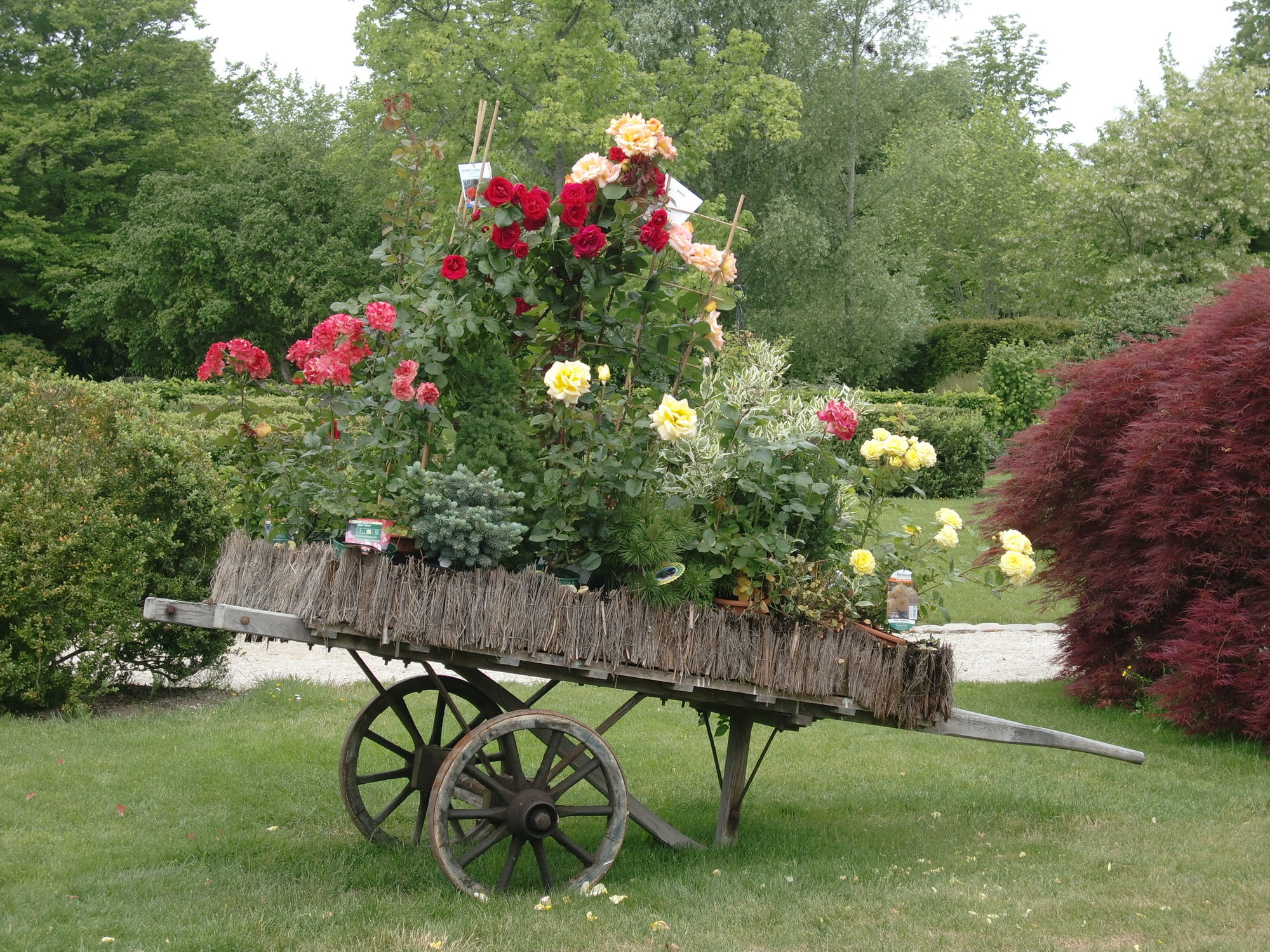 中世市場都市プロヴァンとは？