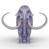 絶滅動物【インペリアルマンモス】を英語で紹介！10トン級、史上最大のマンモスを知ろう
