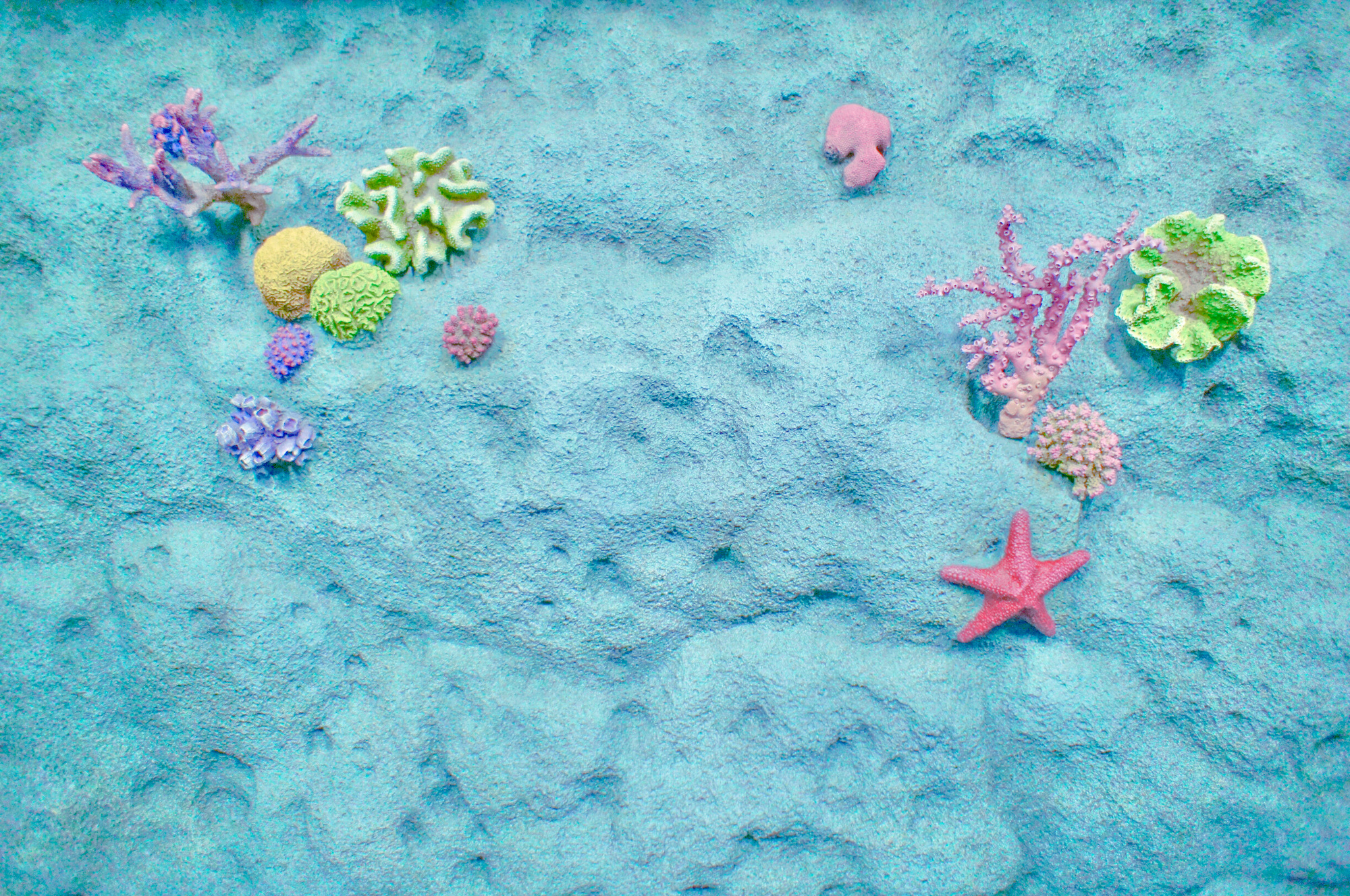 『リトルマーメイド』の話題を英語で話そう！