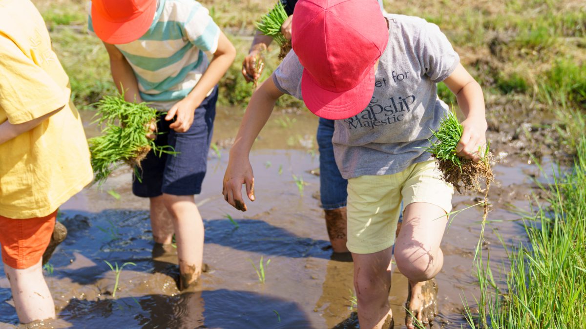 英語教室が少ない地域でも大丈夫！地方でできる家庭×保育園の英語環境づくり
