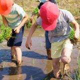 英語教室が少ない地域でも大丈夫！地方でできる家庭×保育園の英語環境づくり